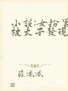 小说:女扮男装被太子发现后