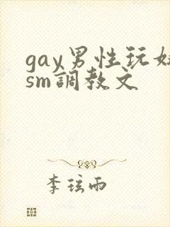 gay男性玩奴sm调教文