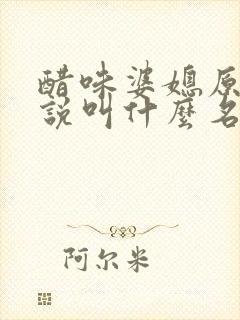 醋味婆媳原著小说叫什么名字