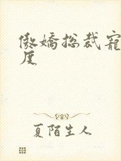 傲娇总裁宠妻无度