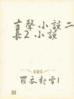 有声小说二号首长2 小说