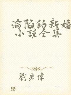 沦陷的新婚少妇 小说全集