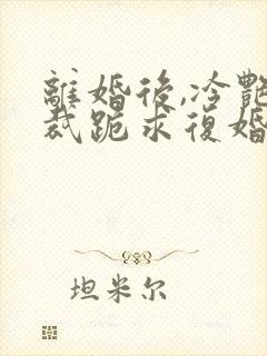 离婚后,冷艳总裁跪求复婚把