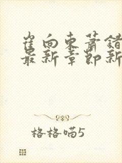 崔向东萧错小说最新章节新笔趣阁