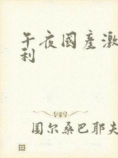 午夜国产激情福利