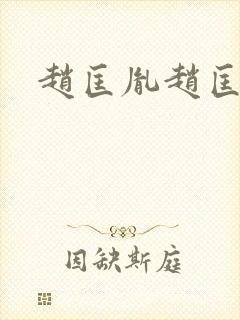 赵匡胤赵匡义