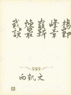 武炼巅峰杨开小说最新章节列表