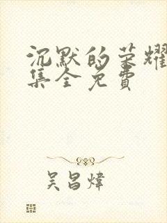 沉默的荣耀38集全免费封面