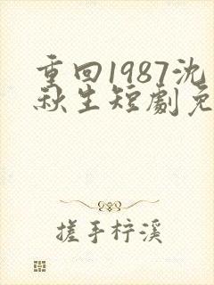 重回1987沈秋生短剧免费观看