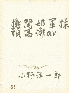 撕开奶罩揉吮奶头高潮av封面