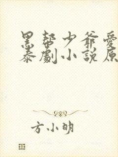黑帮少爷爱上我泰剧小说原著