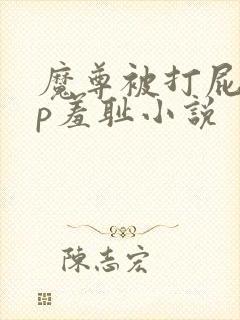 魔尊被打屁股sp羞耻小说封面