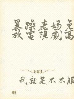 暴躁老妈免费播放电视剧高清
