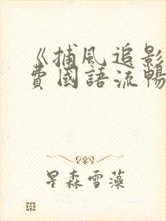 《捕风追影》免费国语流畅在线观看