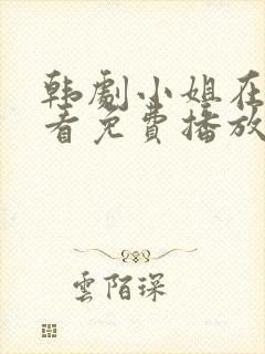 韩剧小姐在线观看免费播放