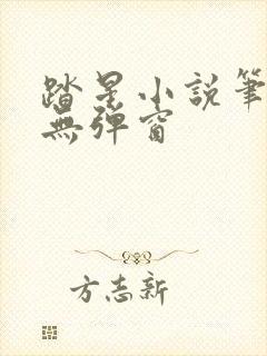 踏星小说笔趣阁无弹窗