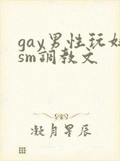 gay男性玩奴sm调教文封面