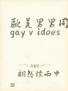 欧美男男同性恋gayⅴidoes封面