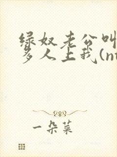 绿奴老公叫了好多人上我(ntr)小说封面