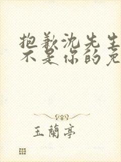 抱歉沈先生孩子不是你的免费看封面
