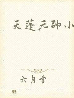 天蓬元帅小说