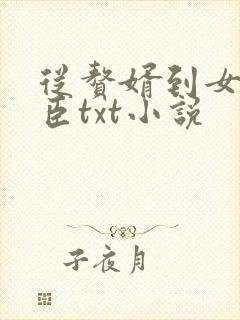 从赘婿到女帝宠臣txt小说