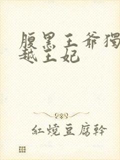 腹黑王爷独宠穿越王妃