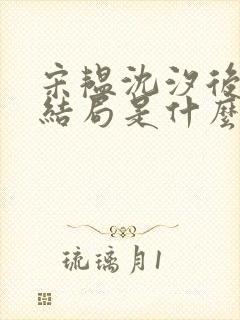 宋韫沈汐后续大结局是什么封面