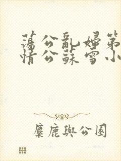 荡公乱妇第1章情公苏雪小说