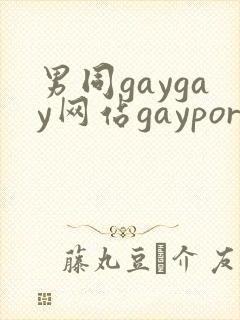 男同gaygay网站gayporn