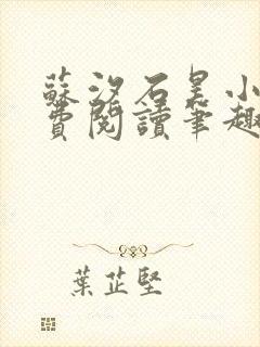 苏汐石昊小说免费阅读笔趣阁