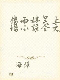 杨雨婷吴上进官场小说全文封面