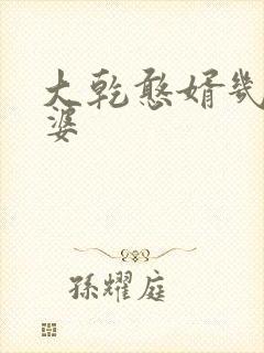 大乾憨婿几个老婆