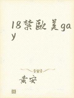18禁欧美gay