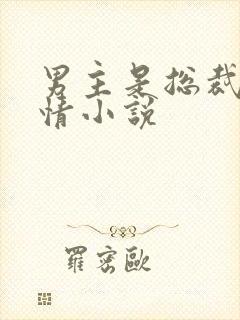 男主是总裁的言情小说