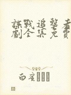 谍战追击者电视剧全集免费观看