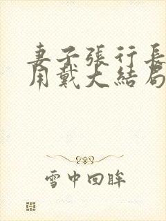 妻子张行长,不用戴大结局txt