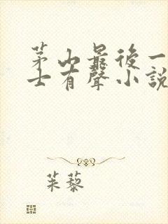 茅山最后一个道士有声小说