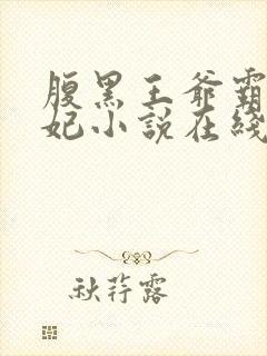腹黑王爷霸道王妃小说在线阅读