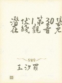 潜伏1第30集在线观看免费