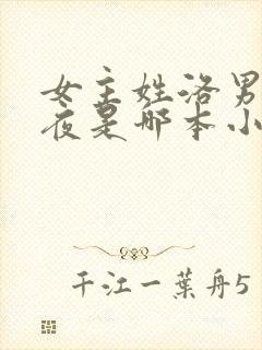 女主姓洛男主姓夜是哪本小说