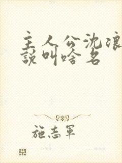 主人公沈浪的小说叫啥名