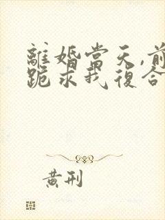 离婚当天,前夫跪求我复合短剧合集