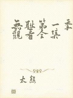 无耻第一季免费观看全集