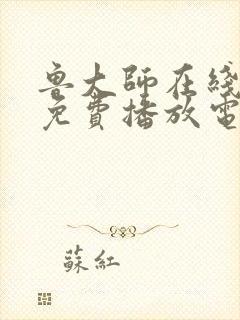 鲁大师在线视频免费播放电视剧最