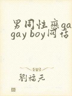 男同性恋gaygay boy网站