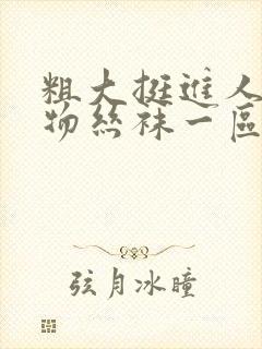 粗大挺进人妻尤物丝袜一区二区封面