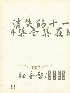 消失的十一层24集全集在线