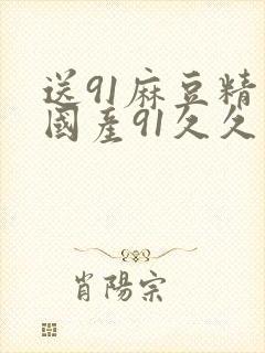 送91麻豆精品国产91久久久封面