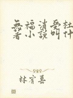 无福消受杜沁原著小说叫什么名字